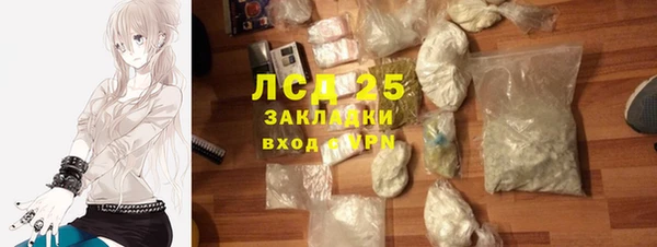 дживик Касимов