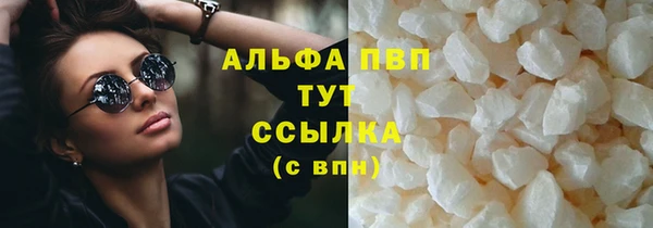 дживик Касимов