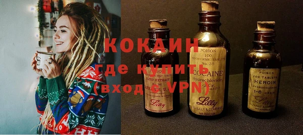 дживик Касимов