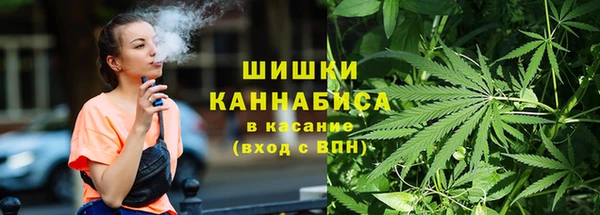 дживик Касимов