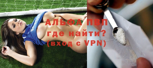 дживик Касимов