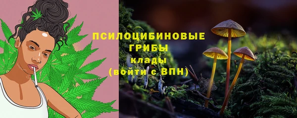 MESCALINE Верхний Тагил