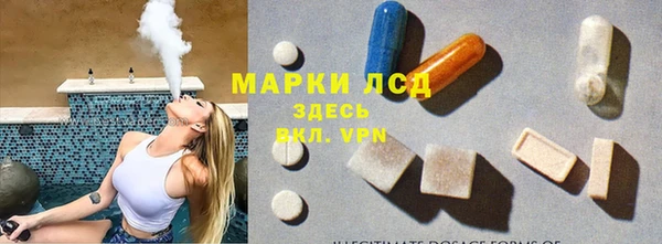 дживик Касимов