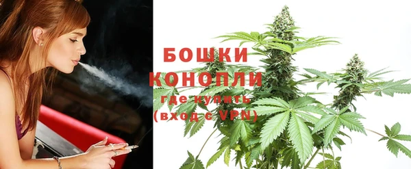 дживик Касимов