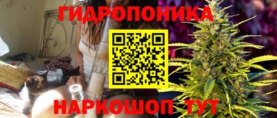 ALPHA PVP Кандалакша