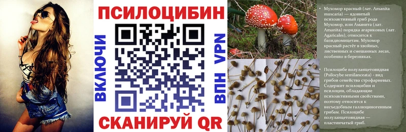 закладки  дарк нет официальный сайт  Галлюциногенные грибы Psilocybe  Ногинск 