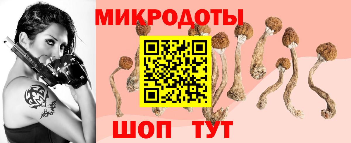 Ногинск  Псилоцибиновые грибы Psilocybe  Псилоцибиновые грибы GOLDEN TEACHER  Вход с VPN 