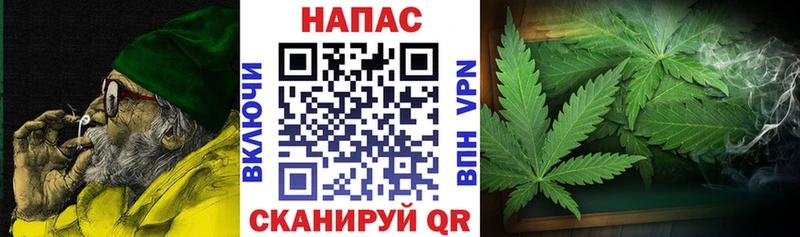 дарк нет клад купить закладку Ногинск Шишки марихуана гибрид